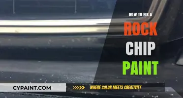 Quick DIY Guide: Repairing Rock Chip Paint Damage on Your Car