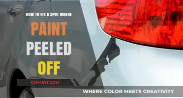 Repairing Peeled Paint: Quick and Easy DIY Solutions