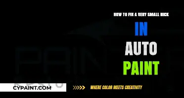 Quick Fix for Tiny Auto Paint Nicks: DIY Repair Guide