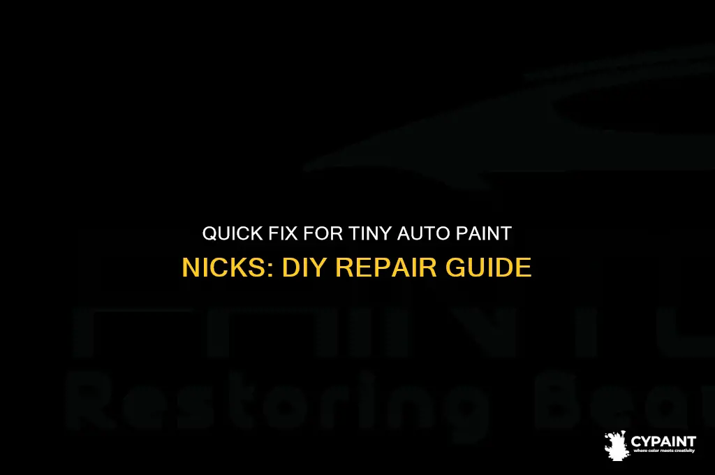 how to fix a very small nick in auto paint