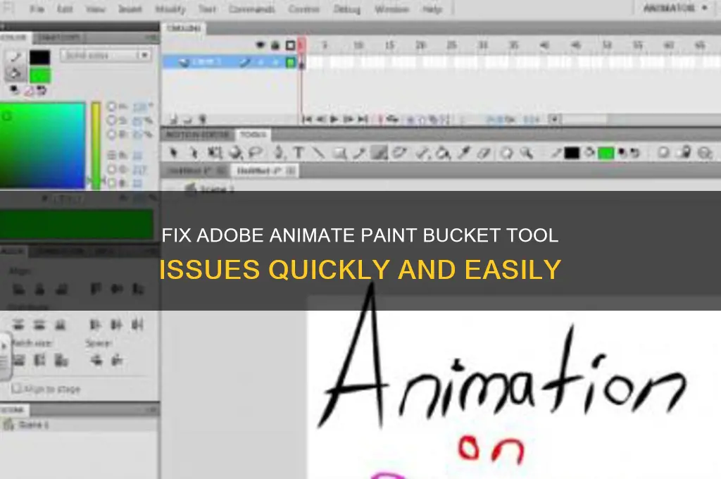 how to fix adobe animate paint bucket