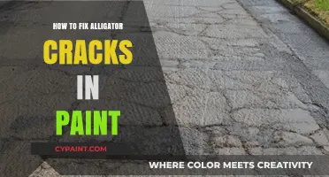 Fixing Alligator Cracks in Paint: A Step-by-Step Repair Guide