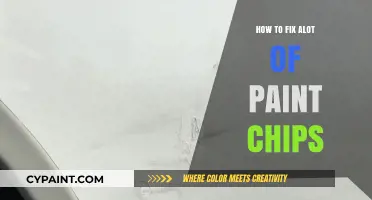 Effective DIY Solutions to Repair and Restore Paint Chips Easily