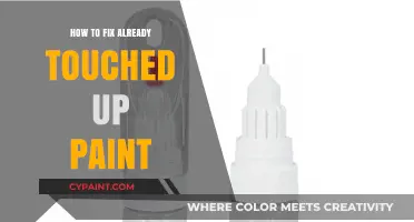Mastering Paint Touch-Ups: Seamless Fixes for Previously Repaired Surfaces