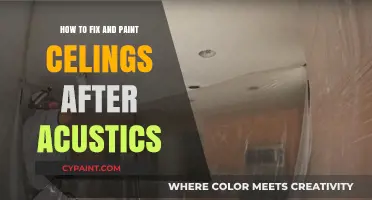 Revitalize Your Ceiling: Fixing and Painting Post-Acoustic Removal Guide