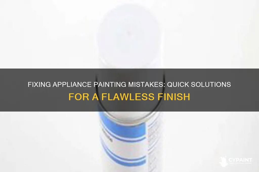 how to fix appliance painting mess ups