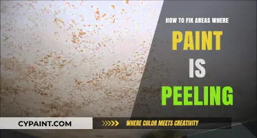 Effective Solutions to Repair Peeling Paint Areas in Your Home