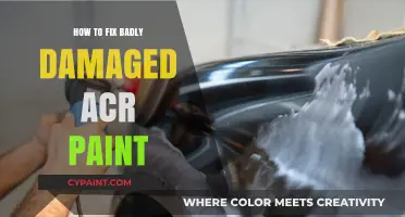 Revive Your Car: Expert Tips to Repair Severely Damaged Auto Paint