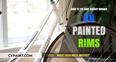 Fixing Squeaky Bike Brakes on Painted Rims