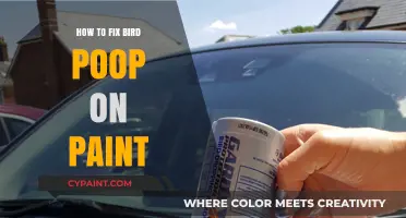 Effective Ways to Remove Bird Poop Stains from Car Paint