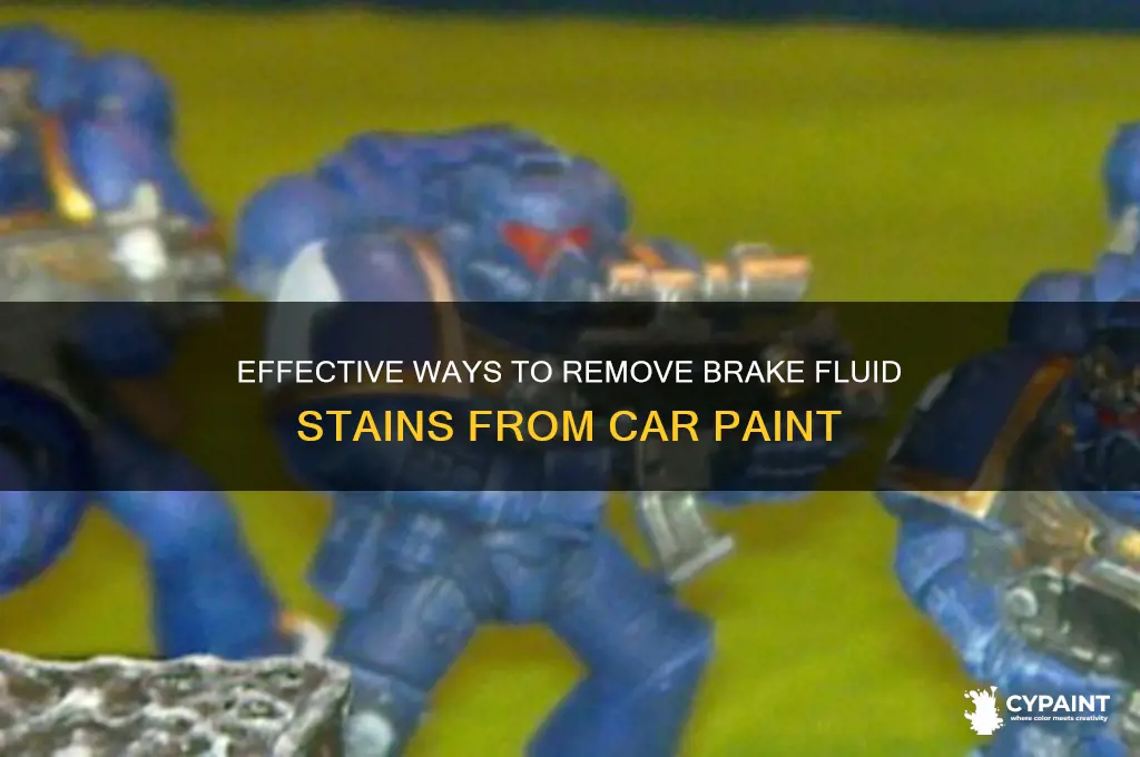 how to fix brake fluid on paint