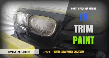 Easy DIY Guide: Repairing Chip Marks in Trim Paint Flawlessly