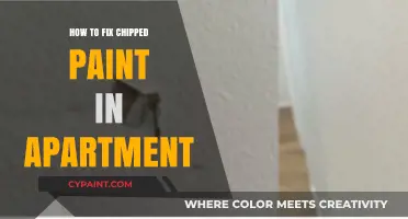 Quick DIY Guide to Repairing Chipped Paint in Your Apartment