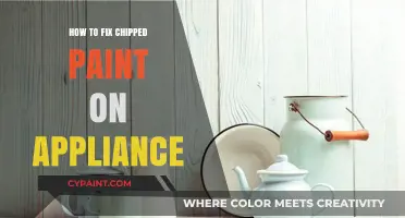Quick DIY Guide to Repairing Chipped Paint on Appliances