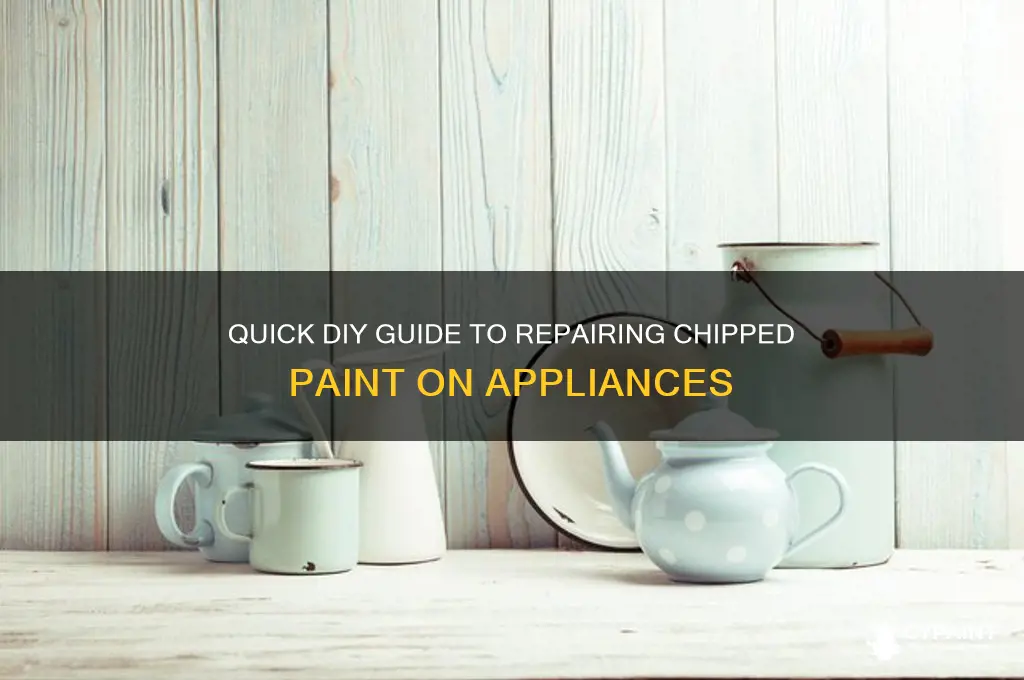 how to fix chipped paint on appliance