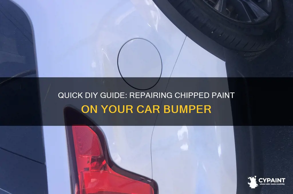 how to fix chipped paint on bumper
