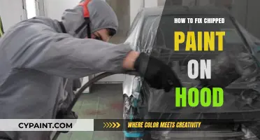 Quick DIY Guide: Repairing Chipped Paint on Your Car Hood