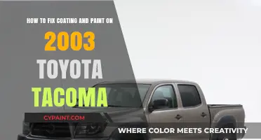 Revive Your 2003 Toyota Tacoma's Paint and Coating: Expert Repair Tips