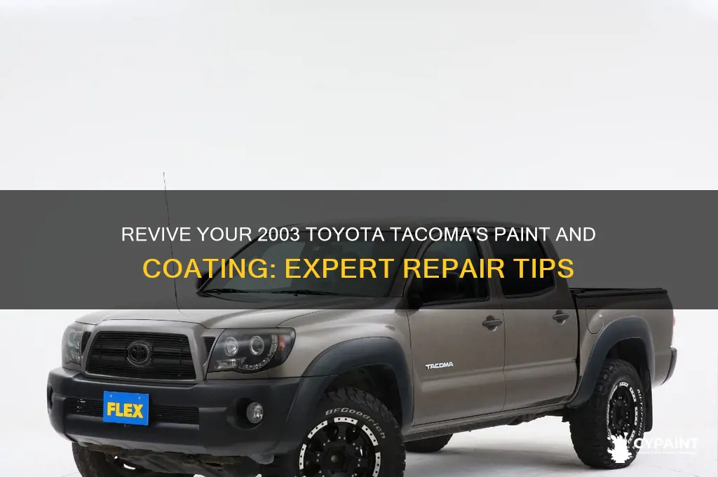 how to fix coating and paint on 2003 toyota tacoma
