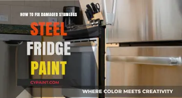 Restore Your Stainless Steel Fridge: Easy Paint Repair Guide