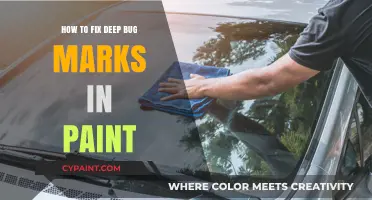 Effective Techniques to Repair Deep Bug Marks in Paint Surfaces