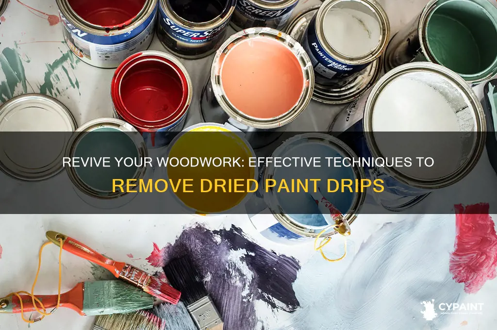how to fix dried paint drips on woodwork