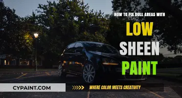 Revive Dull Walls: Low-Sheen Paint Fixes