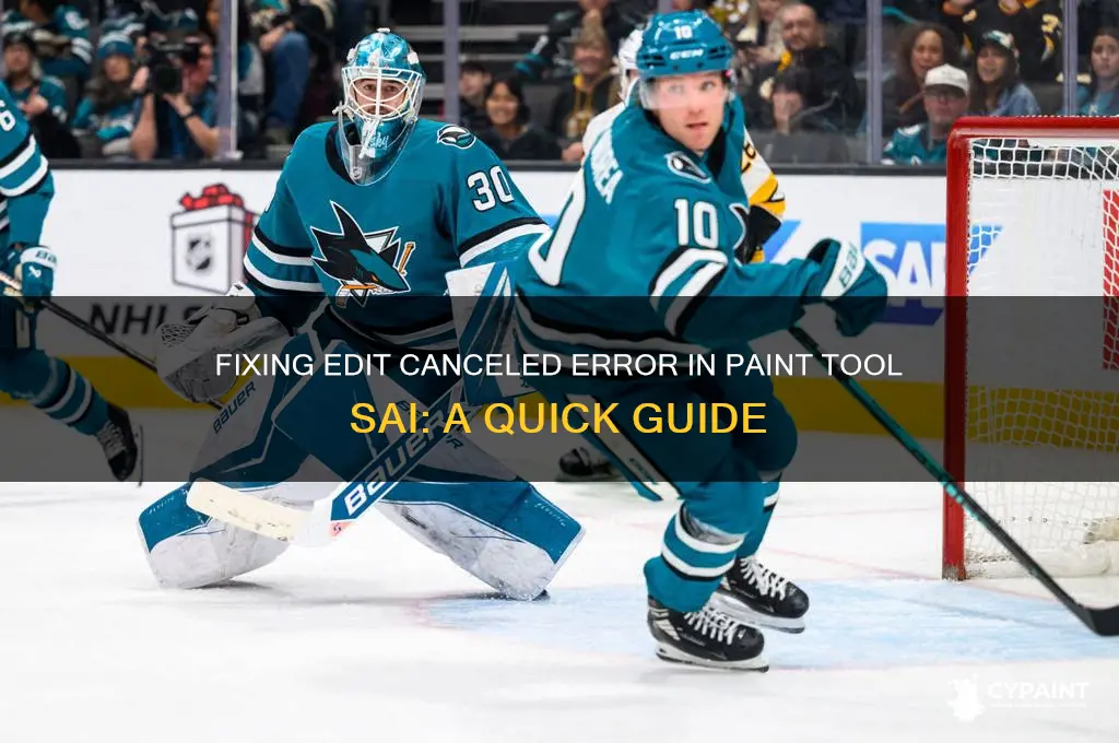 how to fix edit canceled paint tool sai