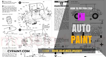 Fixing Fish Eyes in Auto Paint: A Step-by-Step Guide