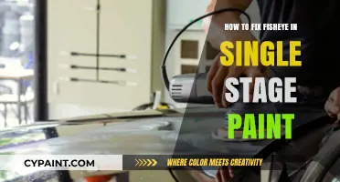 Fixing Fisheye in Single Stage Paint: A Comprehensive Guide