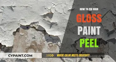 Fixing High Gloss Paint Peel: Effective Solutions for a Flawless Finish