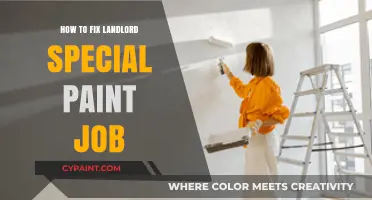 DIY Guide: Fixing Landlord Special Paint Jobs Like a Pro