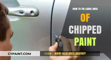Revive Your Walls: Expert Tips to Repair Large Chipped Paint Areas