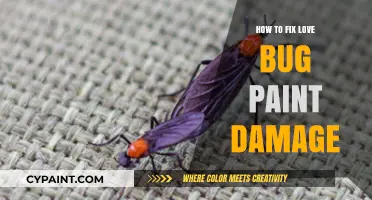 Effective Solutions to Repair Love Bug Paint Damage on Your Vehicle