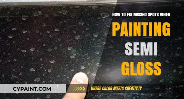 Easy Ways to Fix Missed Spots When Painting with Semi-Gloss
