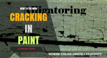 Fixing Mud Cracking in Paint: Effective Solutions for Smooth Walls