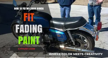 Repairing Faded Paint on a 2009 Honda Fit: DIY Guide