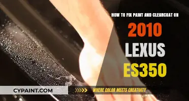 Revive Your 2010 Lexus ES350's Paint and Clear Coat: DIY Repair Guide