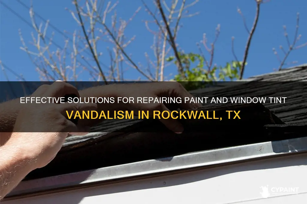 how to fix paint and windowtint vandalism in rockwall tx