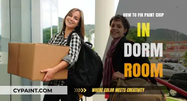 Quick Dorm Room Paint Chip Repair: Easy DIY Fix Guide