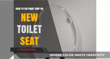 Quickly Fix Paint Chips on Your New Toilet Seat
