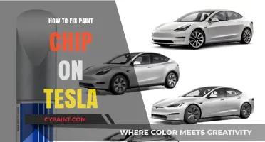 Easy DIY Guide to Repairing Paint Chips on Your Tesla