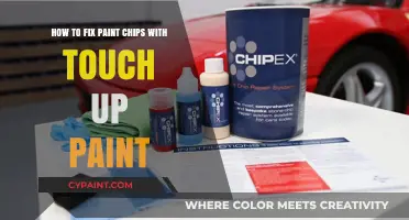 Quickly Fix Paint Chips with Touch-Up Paint