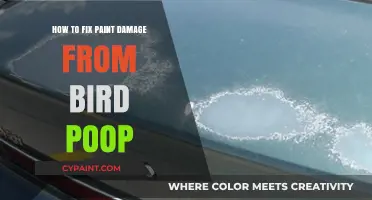 Quick Fixes for Bird Poop Paint Damage on Your Car