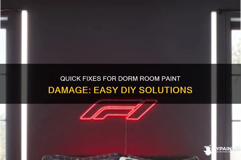 how to fix paint damage in dorm