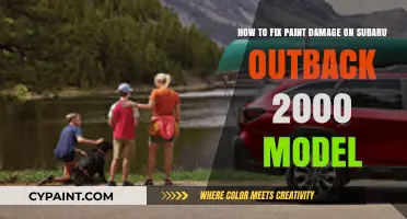 Repairing Paint Damage on Your 2000 Subaru Outback: A DIY Guide
