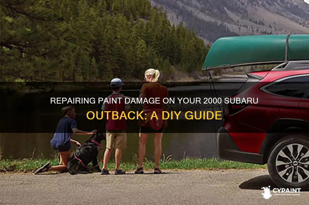 how to fix paint damage on subaru outback 2000 model
