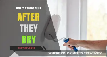 Fixing Dried Paint Drips: A Step-by-Step Restoration Guide