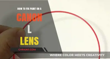 Repairing Paint on Your Canon L Lens: A DIY Guide