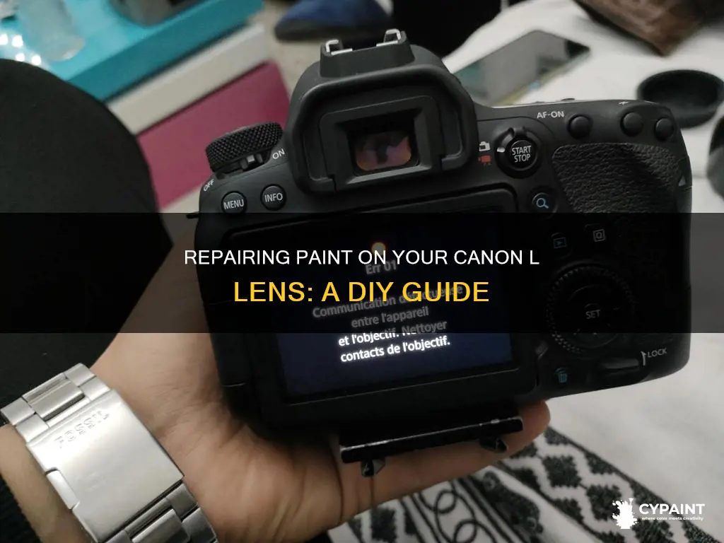 how to fix paint on a canon l lens